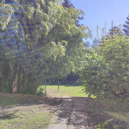 Wohnung In St Poelten St. Pölten Zewnętrze zdjęcie